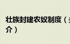 壮族封建农奴制度（关于壮族封建农奴制度简介）