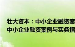 壮大资本：中小企业融资案例与实务指引（关于壮大资本：中小企业融资案例与实务指引简介）
