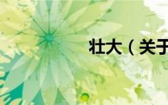壮大（关于壮大简介）