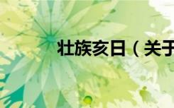 壮族亥日（关于壮族亥日简介）