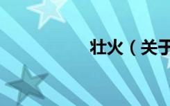 壮火（关于壮火简介）