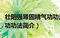 壮阳强肾固精气功功法（关于壮阳强肾固精气功功法简介）
