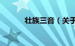 壮族三音（关于壮族三音简介）