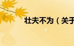 壮夫不为（关于壮夫不为简介）