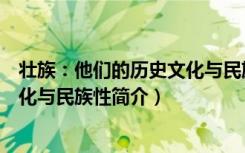 壮族：他们的历史文化与民族性（关于壮族：他们的历史文化与民族性简介）