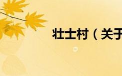 壮士村（关于壮士村简介）