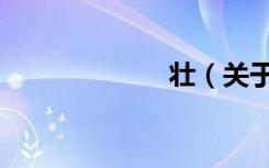 壮（关于壮简介）