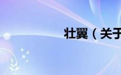 壮翼（关于壮翼简介）