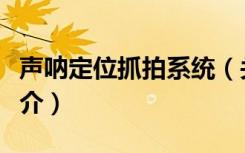 声呐定位抓拍系统（关于声呐定位抓拍系统简介）