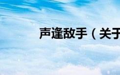声逢敌手（关于声逢敌手简介）