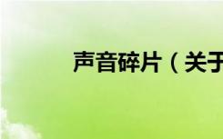 声音碎片（关于声音碎片简介）