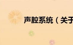 声腔系统（关于声腔系统简介）