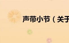 声带小节（关于声带小节简介）