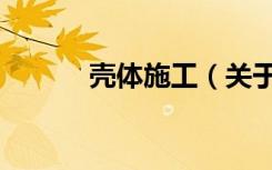 壳体施工（关于壳体施工简介）
