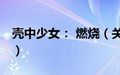 壳中少女： 燃烧（关于壳中少女： 燃烧简介）