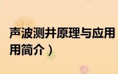 声波测井原理与应用（关于声波测井原理与应用简介）