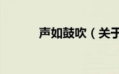 声如鼓吹（关于声如鼓吹简介）