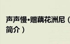 声声慢·赠藕花洲尼（关于声声慢·赠藕花洲尼简介）
