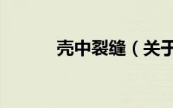 壳中裂缝（关于壳中裂缝简介）