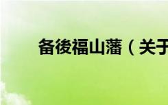 备後福山藩（关于备後福山藩简介）