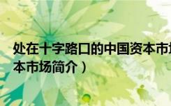 处在十字路口的中国资本市场（关于处在十字路口的中国资本市场简介）