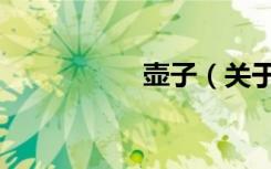 壶子（关于壶子简介）