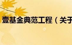 壹基金典范工程（关于壹基金典范工程简介）