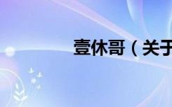 壹休哥（关于壹休哥简介）