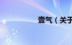壹气（关于壹气简介）