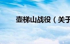 壶梯山战役（关于壶梯山战役简介）