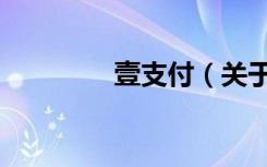 壹支付（关于壹支付简介）