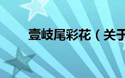 壹岐尾彩花（关于壹岐尾彩花简介）