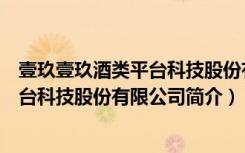 壹玖壹玖酒类平台科技股份有限公司（关于壹玖壹玖酒类平台科技股份有限公司简介）