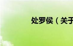 处罗侯（关于处罗侯简介）