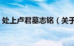 处上卢君墓志铭（关于处上卢君墓志铭简介）