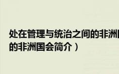 处在管理与统治之间的非洲国会（关于处在管理与统治之间的非洲国会简介）