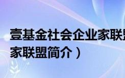 壹基金社会企业家联盟（关于壹基金社会企业家联盟简介）
