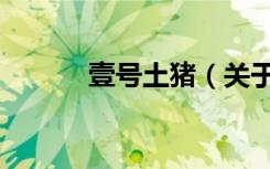 壹号土猪（关于壹号土猪简介）