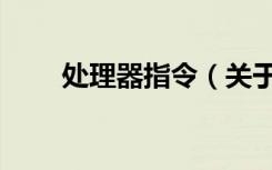 处理器指令（关于处理器指令简介）