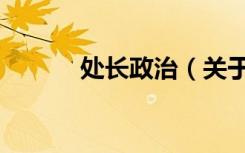 处长政治（关于处长政治简介）