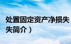 处置固定资产净损失（关于处置固定资产净损失简介）