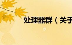 处理器群（关于处理器群简介）