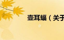 壶耳蝠（关于壶耳蝠简介）