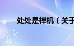 处处是禅机（关于处处是禅机简介）