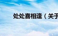 处处喜相逢（关于处处喜相逢简介）