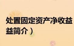 处置固定资产净收益（关于处置固定资产净收益简介）
