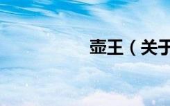 壶王（关于壶王简介）