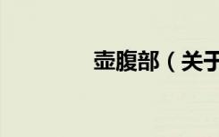 壶腹部（关于壶腹部简介）