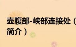 壶腹部-峡部连接处（关于壶腹部-峡部连接处简介）