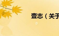 壹志（关于壹志简介）